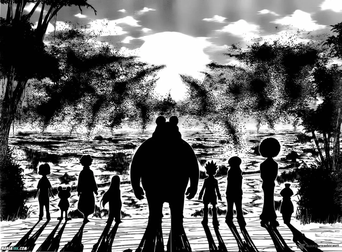 Hunter X Hunter Chapter 339 page 9