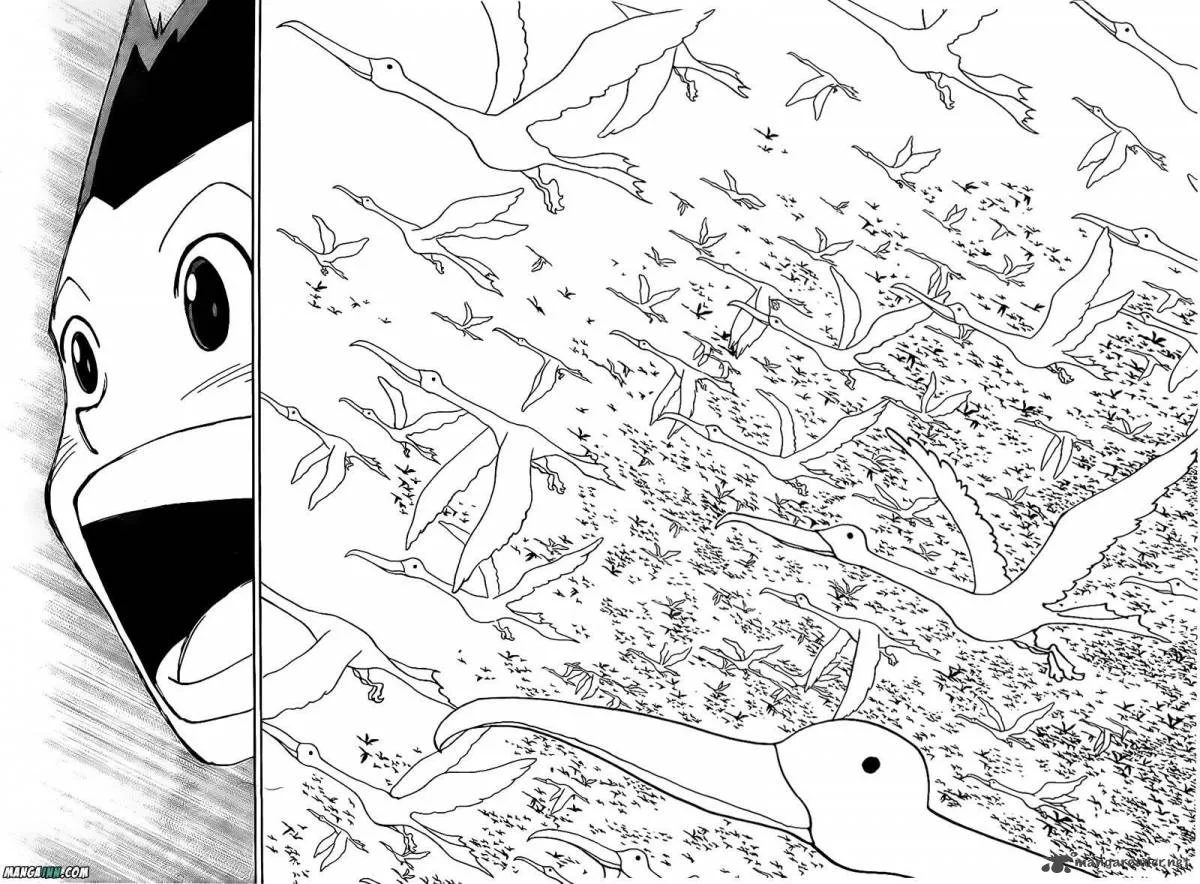 Hunter X Hunter Chapter 339 page 8