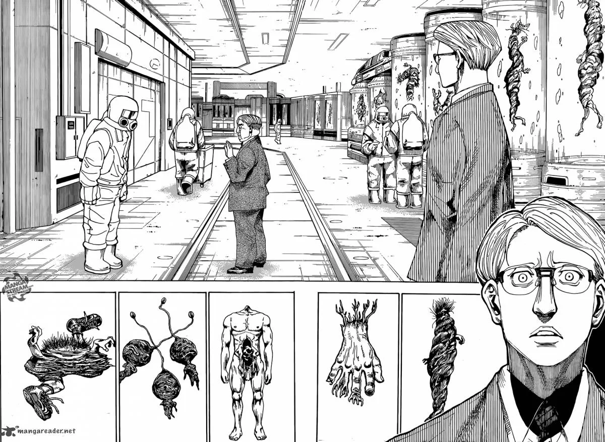 Hunter X Hunter Chapter 341 page 8