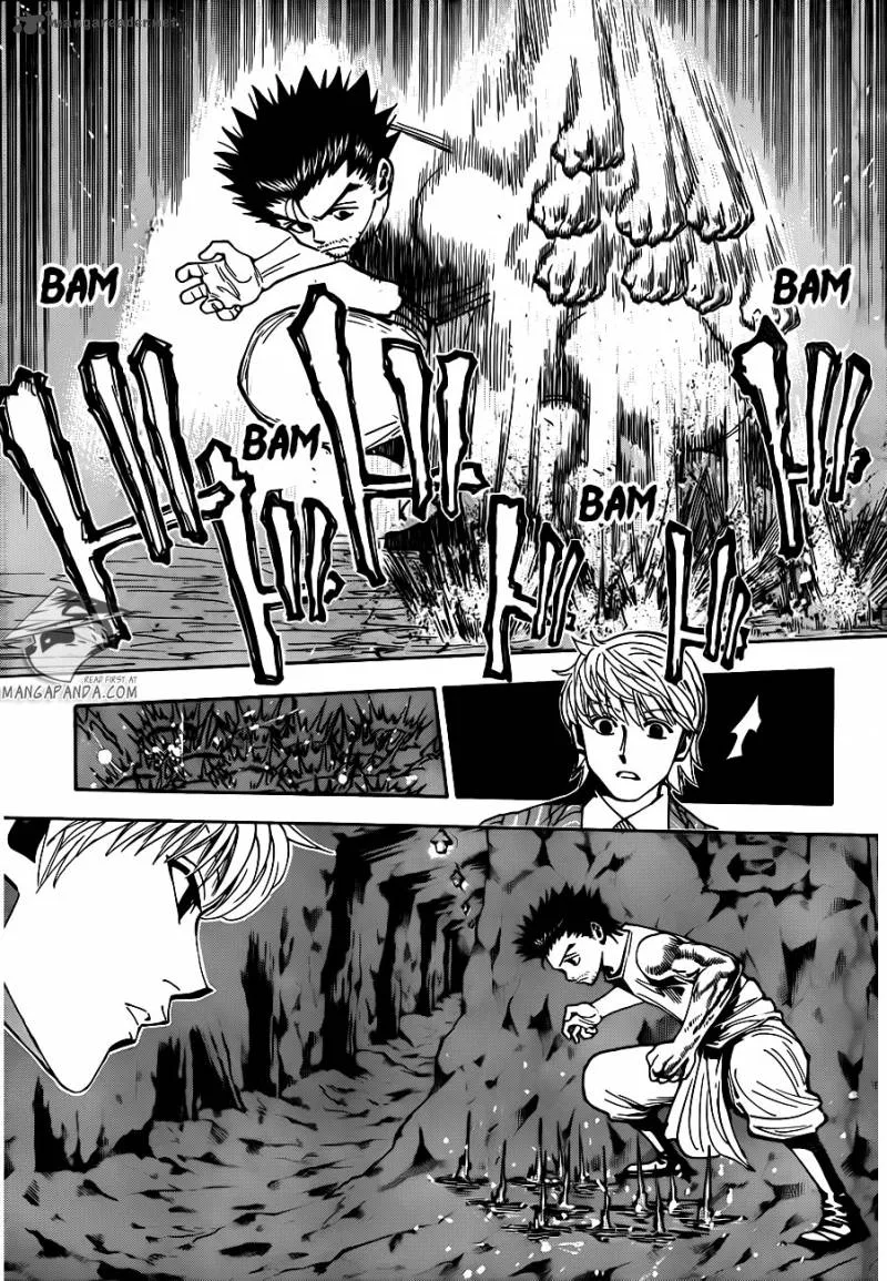 Hunter X Hunter Chapter 347 page 5
