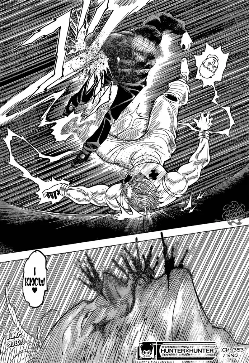 Hunter X Hunter Chapter 353 page 19