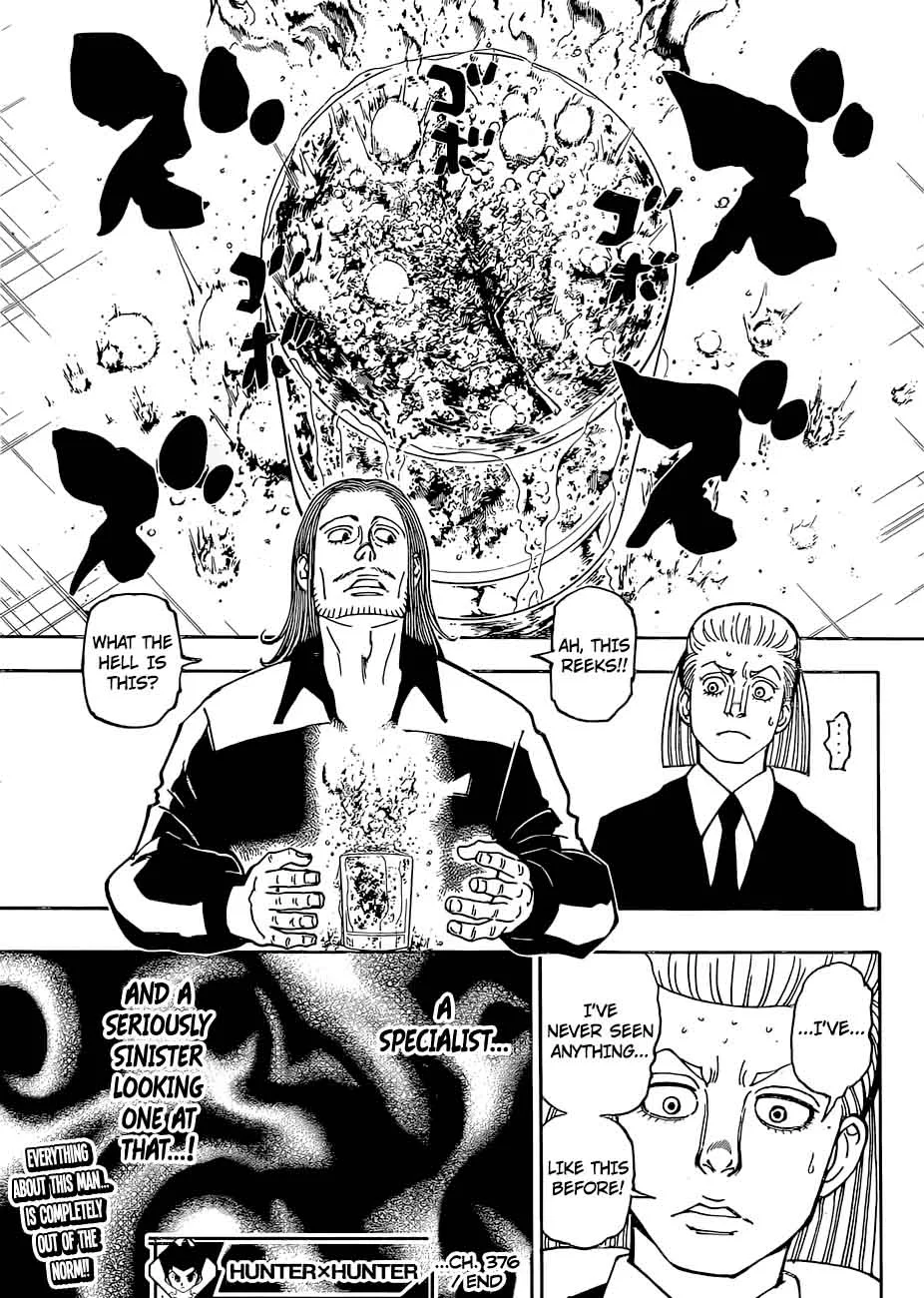 Hunter X Hunter Chapter 376 page 19