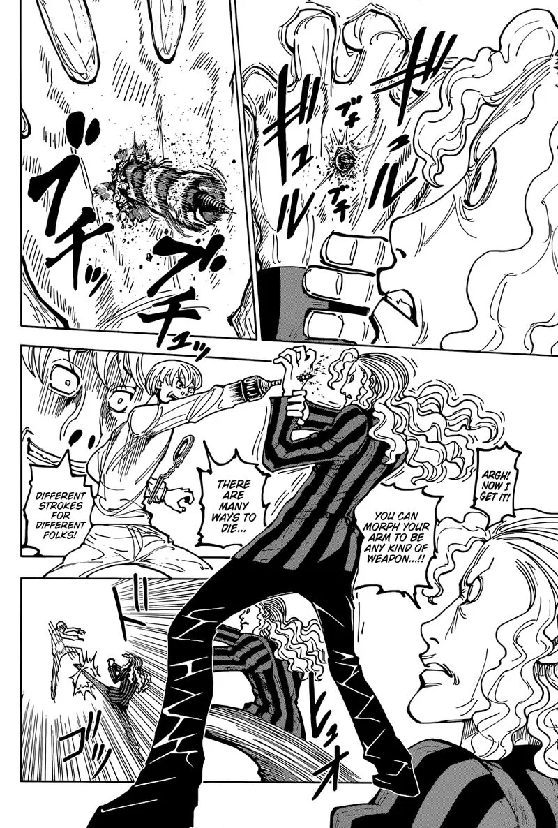 Hunter X Hunter Chapter 391 page 17