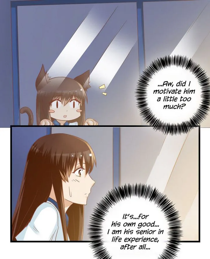 I Am My Wife Chapter 71 page 13