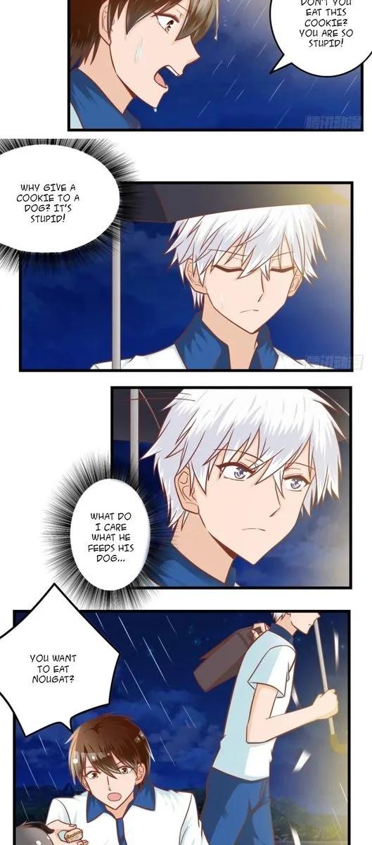 I Am My Wife Chapter 83 page 5