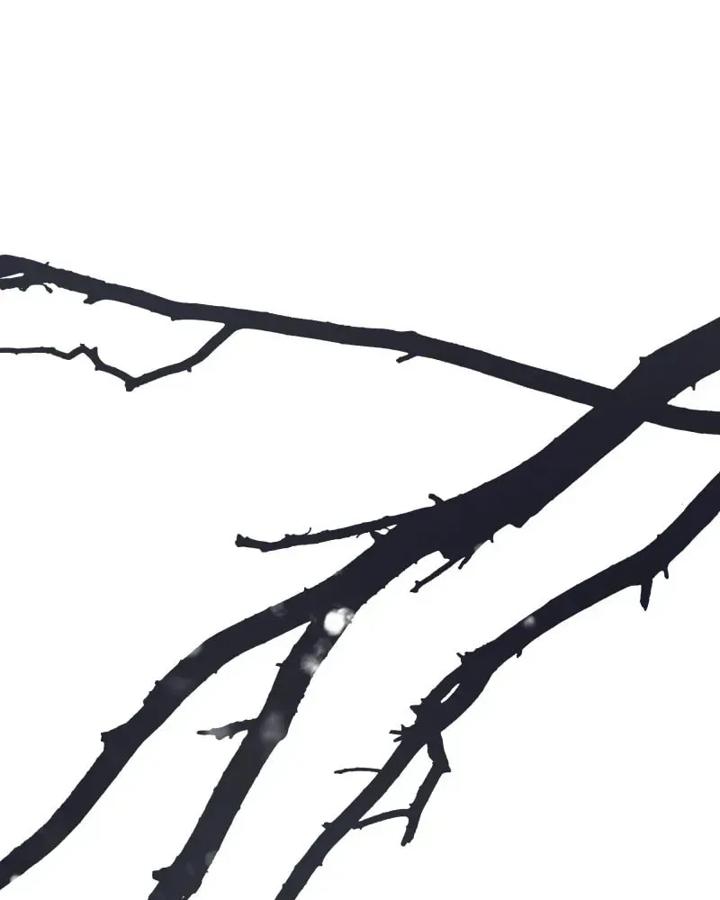 I'm the Grim Reaper Chapter 45 page 124
