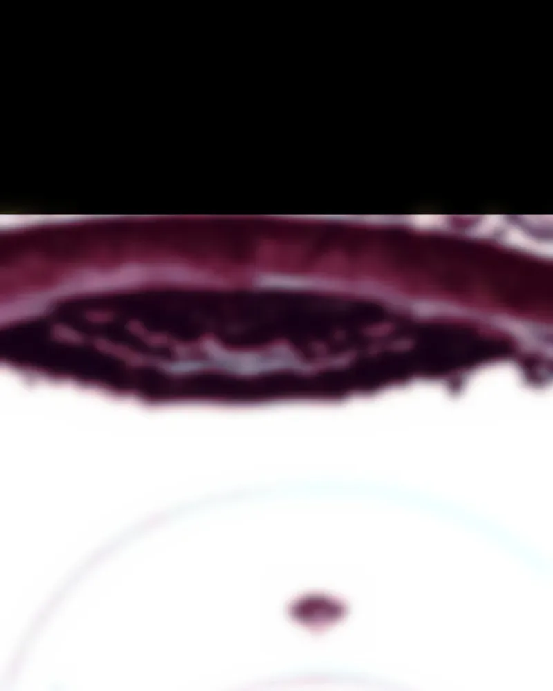 I'm the Grim Reaper Chapter 81 page 4