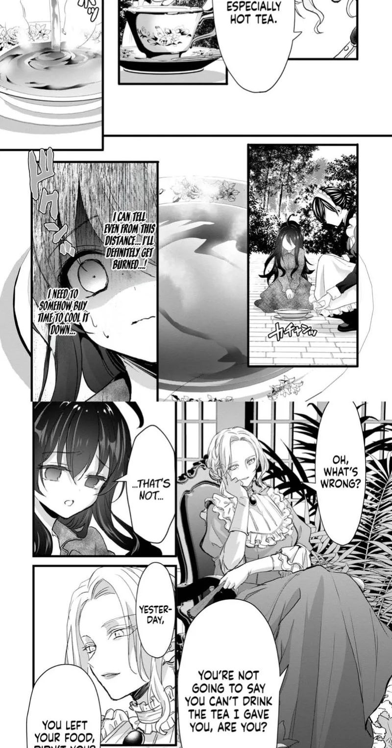 I Reincarnated as a Villainous Princess, but the Hidden Character Is Not Hidden Chapter 3 page 41