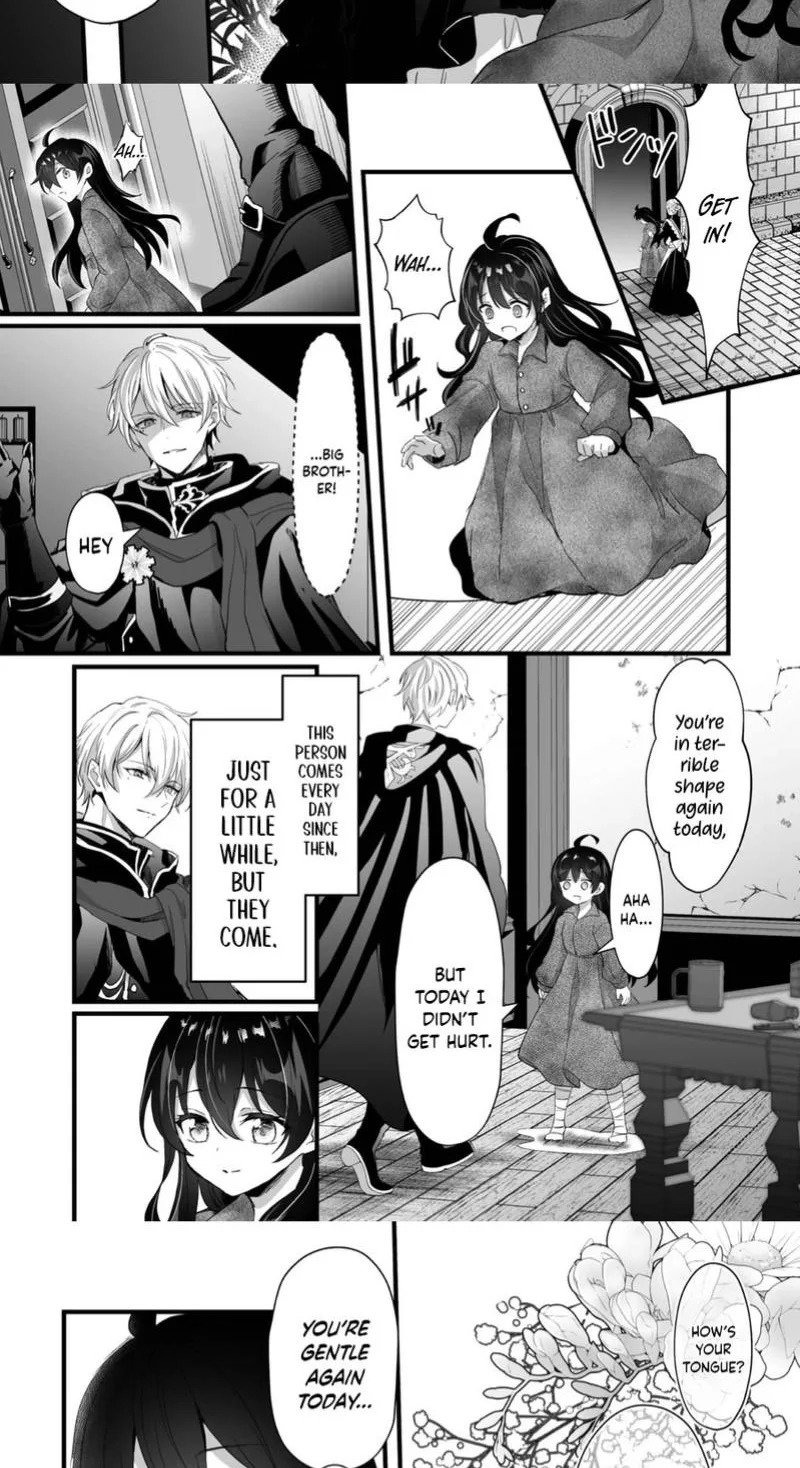 I Reincarnated as a Villainous Princess, but the Hidden Character Is Not Hidden Chapter 5 page 16