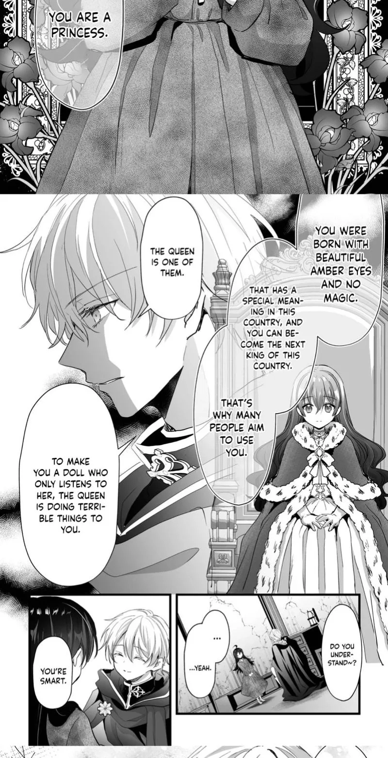 I Reincarnated as a Villainous Princess, but the Hidden Character Is Not Hidden Chapter 5 page 28