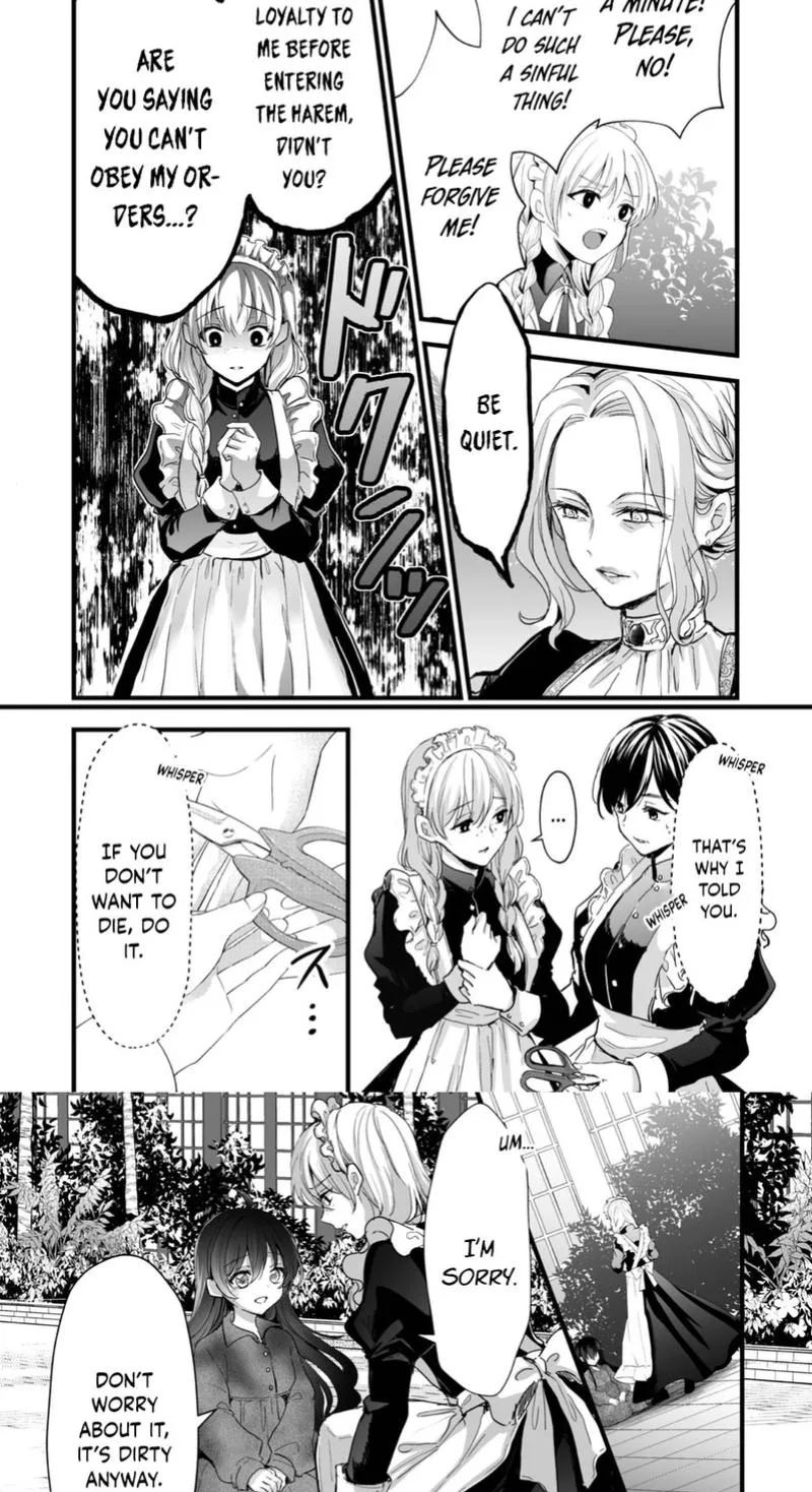 I Reincarnated as a Villainous Princess, but the Hidden Character Is Not Hidden Chapter 5 page 13