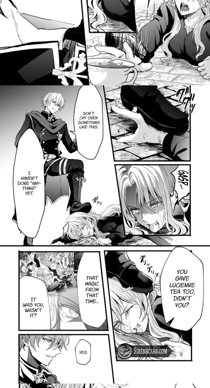 I Reincarnated as a Villainous Princess, but the Hidden Character Is Not Hidden Chapter 7 page 15