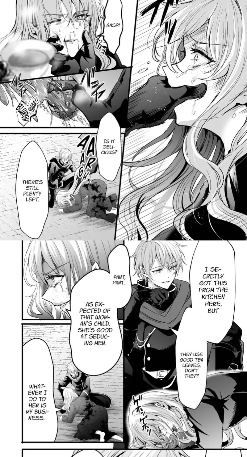 I Reincarnated as a Villainous Princess, but the Hidden Character Is Not Hidden Chapter 7 page 17
