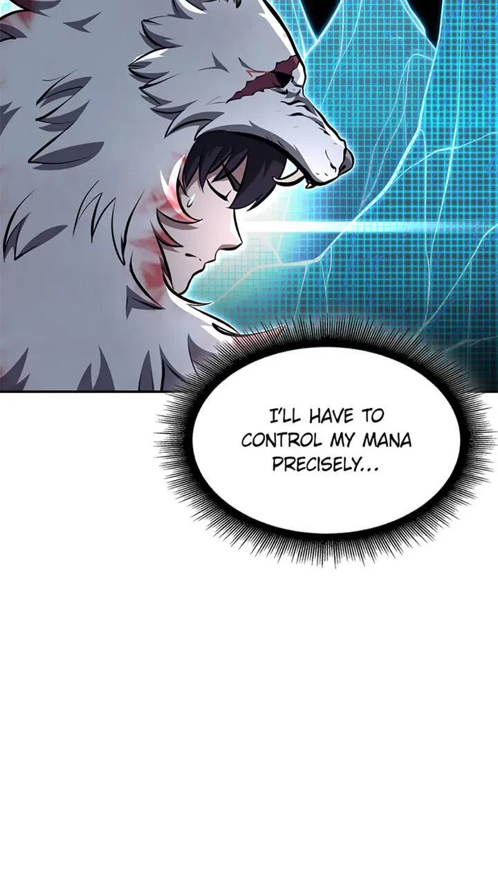 I Returned as an FFF-Class Witch Doctor Chapter 91 page 47
