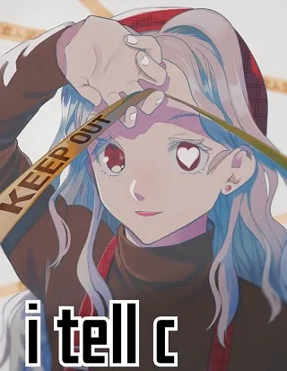 I Tell C cover