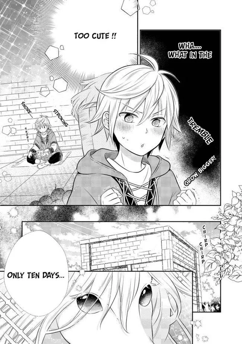 I Was Reincarnated as a Poor Farmer in a Different World, So I Decided to Make Bricks to Build a Castle Chapter 4.1 page 8