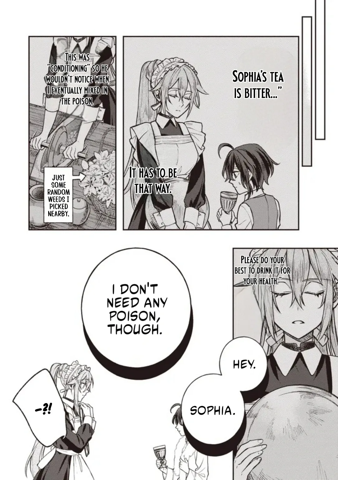 I’m the Third Son of a Noble, but I Became the Strongest Mage by Tweaking My Stats and Modifying Every Spell! Chapter 4.1 page 10