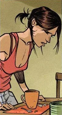 Inarime cover