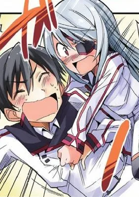 Infinite Stratos Black Bunny/White Bitter cover