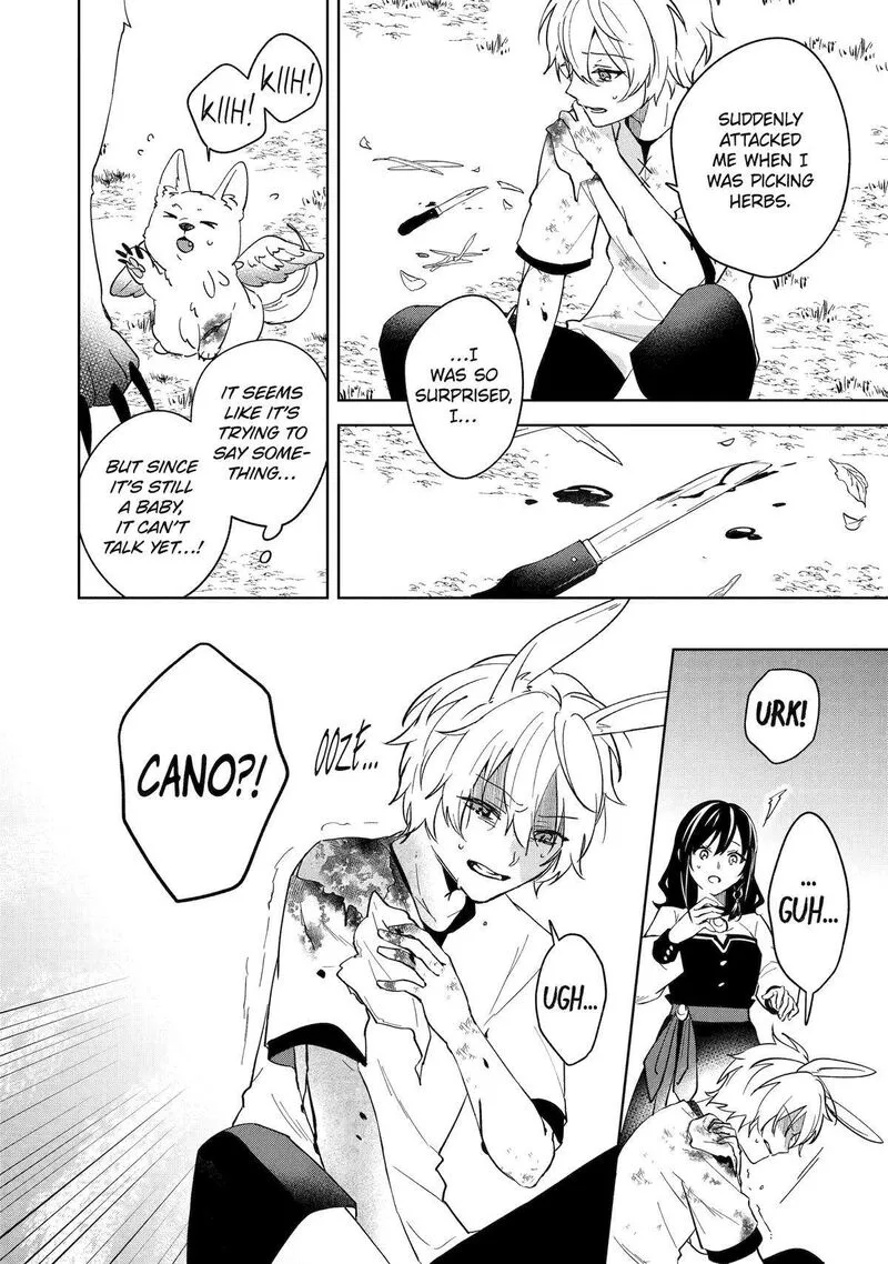 Isekai de Pension Hajimemashita. Sekai de Yuiitsu no Kuro Majo desu ga, Kono Chikara wa Okyaku-sama no Tame ni Tsukaimasu Chapter 9 page 8