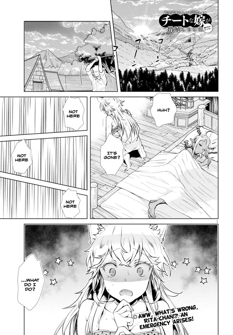 Isekai de Skill wo Kaitai Shitara Cheat na Yome ga Zoushoku Shimashita: Gainen Kousa no Structure Chapter 21.5 page 1