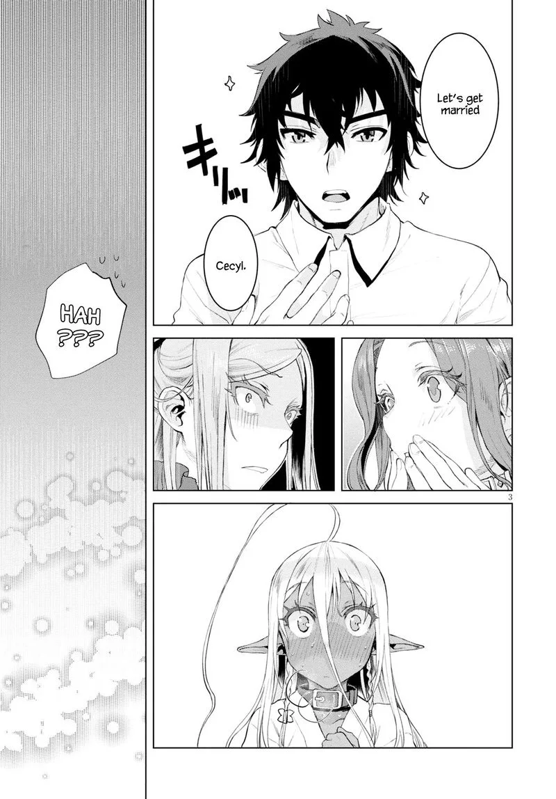 Isekai de Skill wo Kaitai Shitara Cheat na Yome ga Zoushoku Shimashita: Gainen Kousa no Structure Chapter 27 page 3