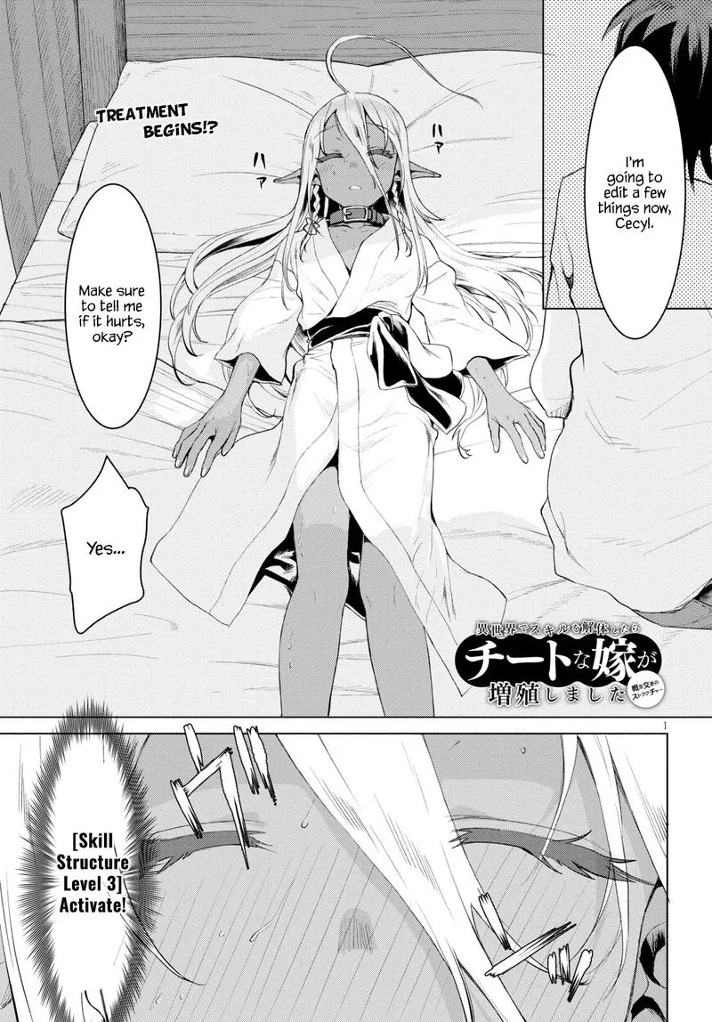 Isekai de Skill wo Kaitai Shitara Cheat na Yome ga Zoushoku Shimashita: Gainen Kousa no Structure Chapter 27 page 1
