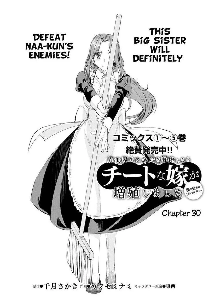 Isekai de Skill wo Kaitai Shitara Cheat na Yome ga Zoushoku Shimashita: Gainen Kousa no Structure Chapter 30 page 2