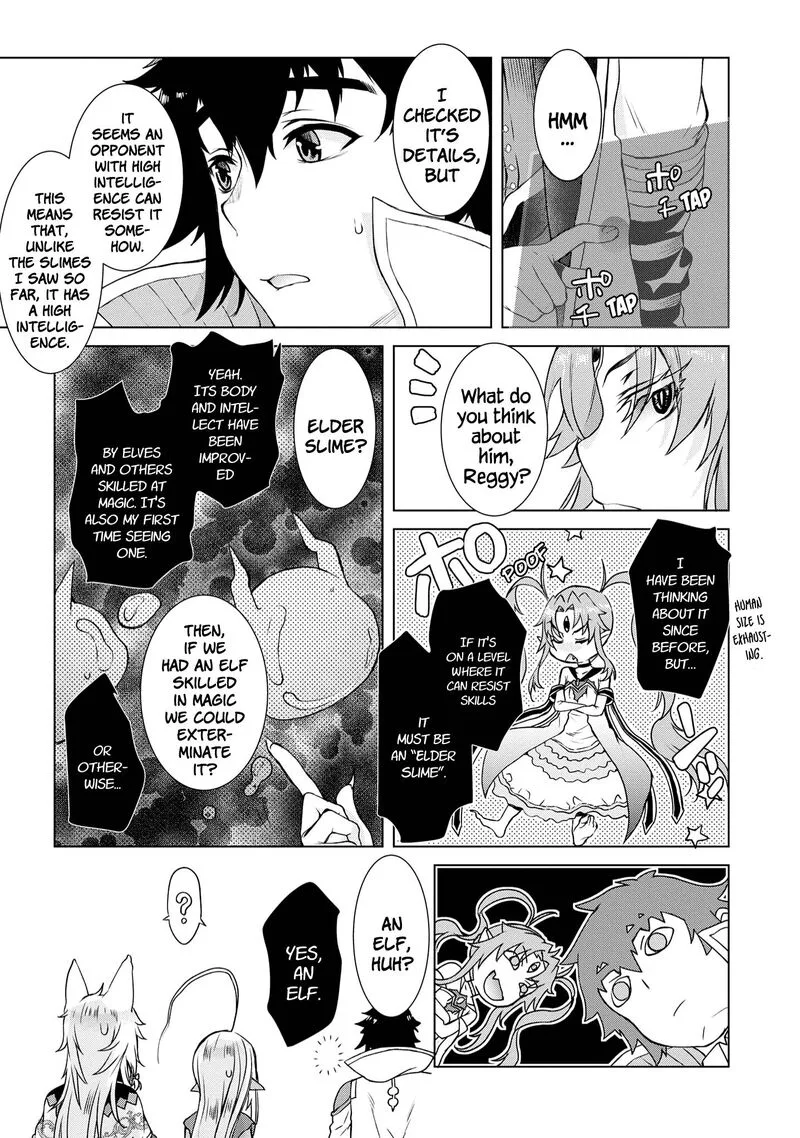 Isekai de Skill wo Kaitai Shitara Cheat na Yome ga Zoushoku Shimashita: Gainen Kousa no Structure Chapter 39 page 17