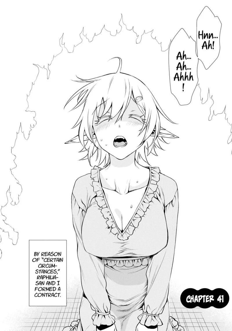Isekai de Skill wo Kaitai Shitara Cheat na Yome ga Zoushoku Shimashita: Gainen Kousa no Structure Chapter 41 page 2