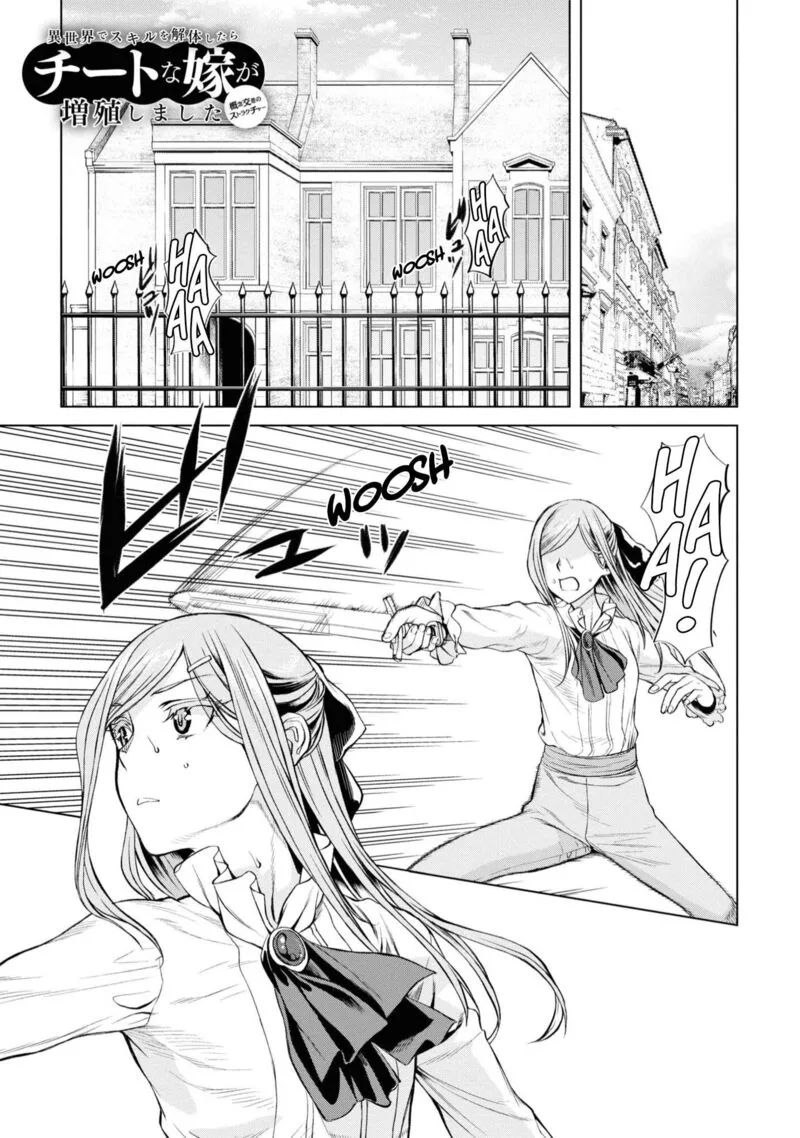 Isekai de Skill wo Kaitai Shitara Cheat na Yome ga Zoushoku Shimashita: Gainen Kousa no Structure Chapter 46.5 page 1