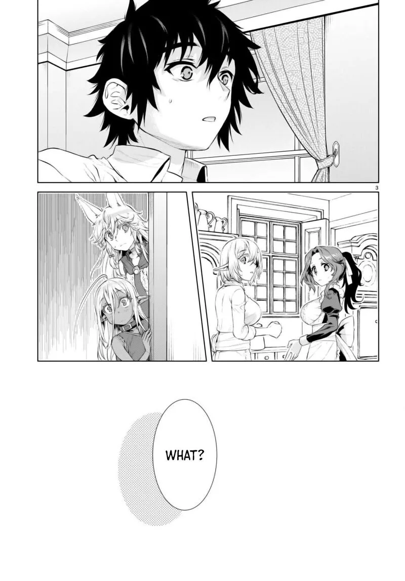 Isekai de Skill wo Kaitai Shitara Cheat na Yome ga Zoushoku Shimashita: Gainen Kousa no Structure Chapter 61 page 3