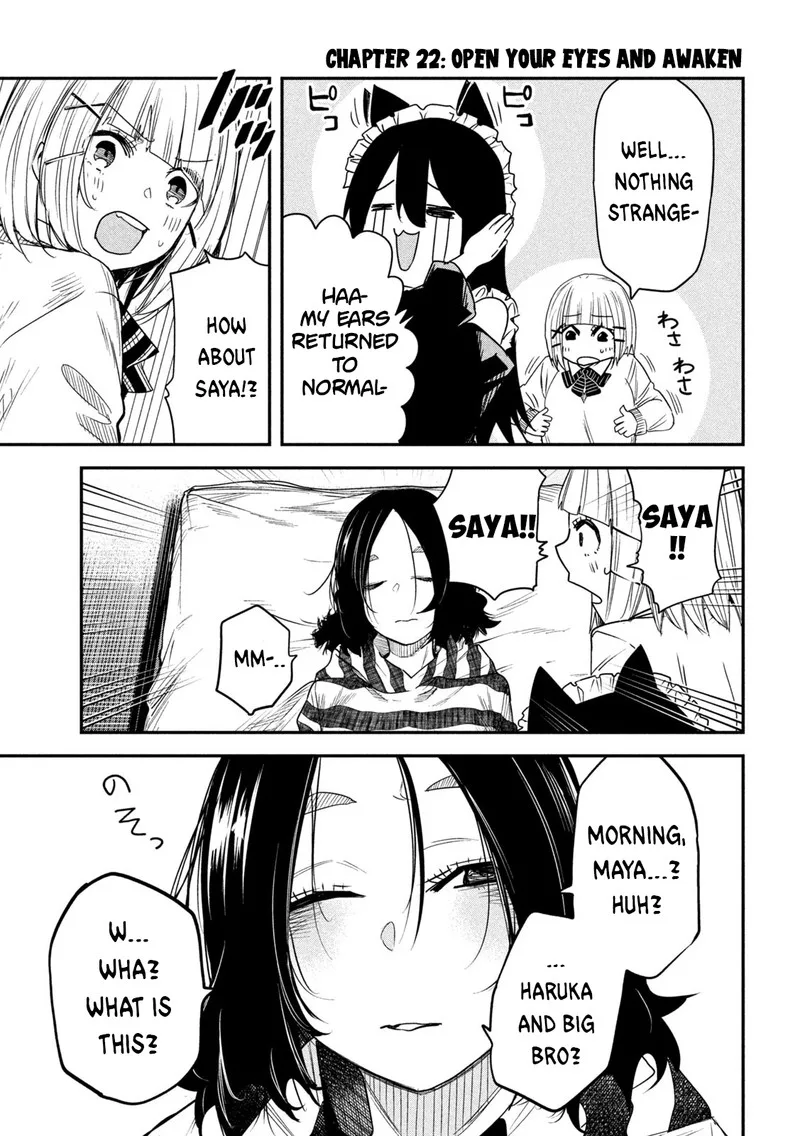 Isekai Kaeri no Daikenja-sama wa Sore Demo Kossori Kurashite Iru Tsumori desu Chapter 22 page 3