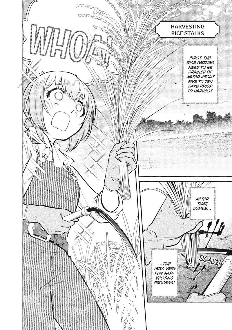 Isekai Maid no Mitsuboshi Gourmet Chapter 12.4 page 3