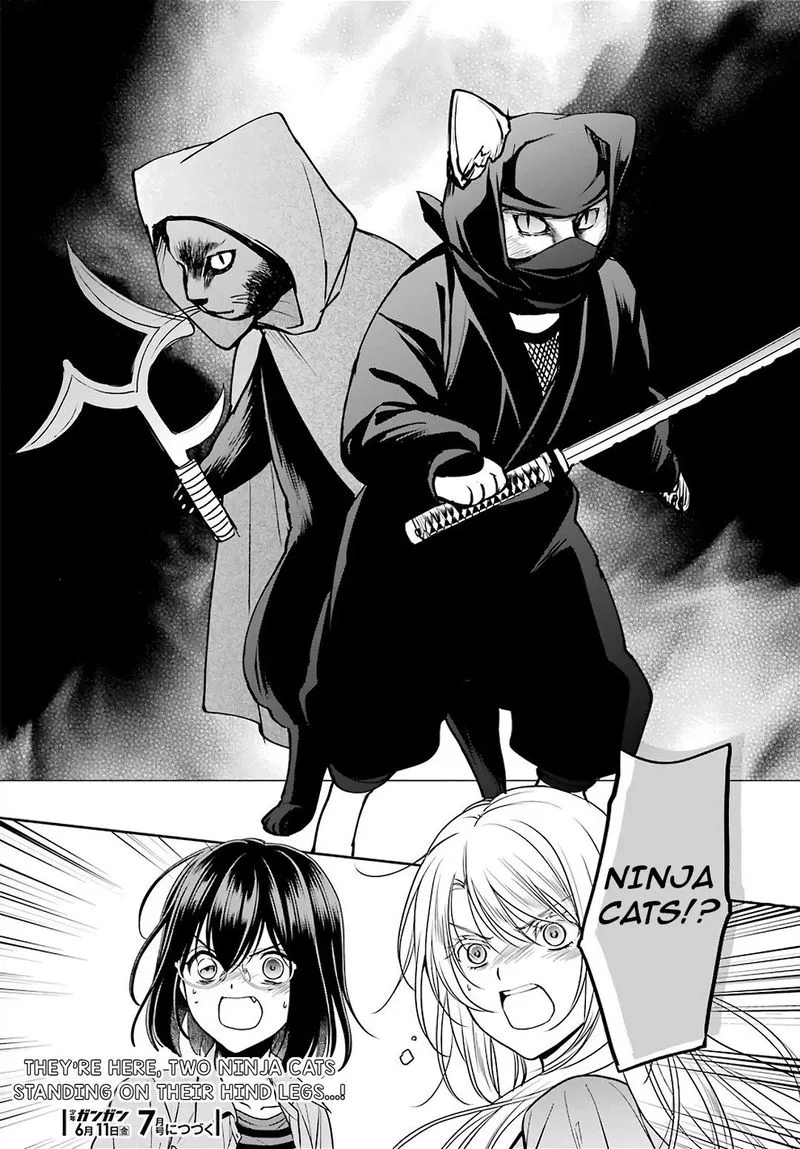 ISEKAI PICNIC Chapter 39 page 34