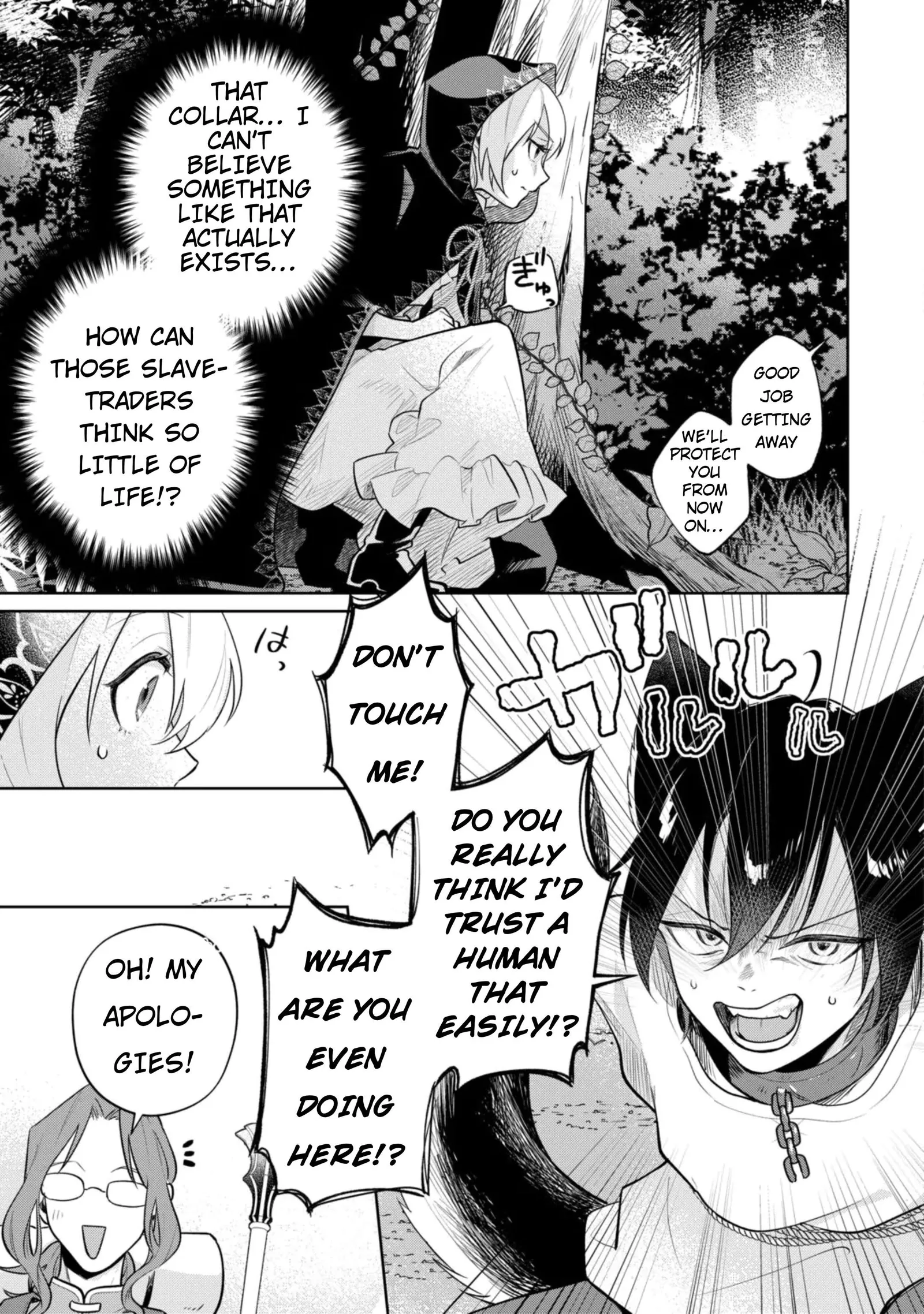 Isekai Tensei Reijou, Shuppon Suru Chapter 11 page 19