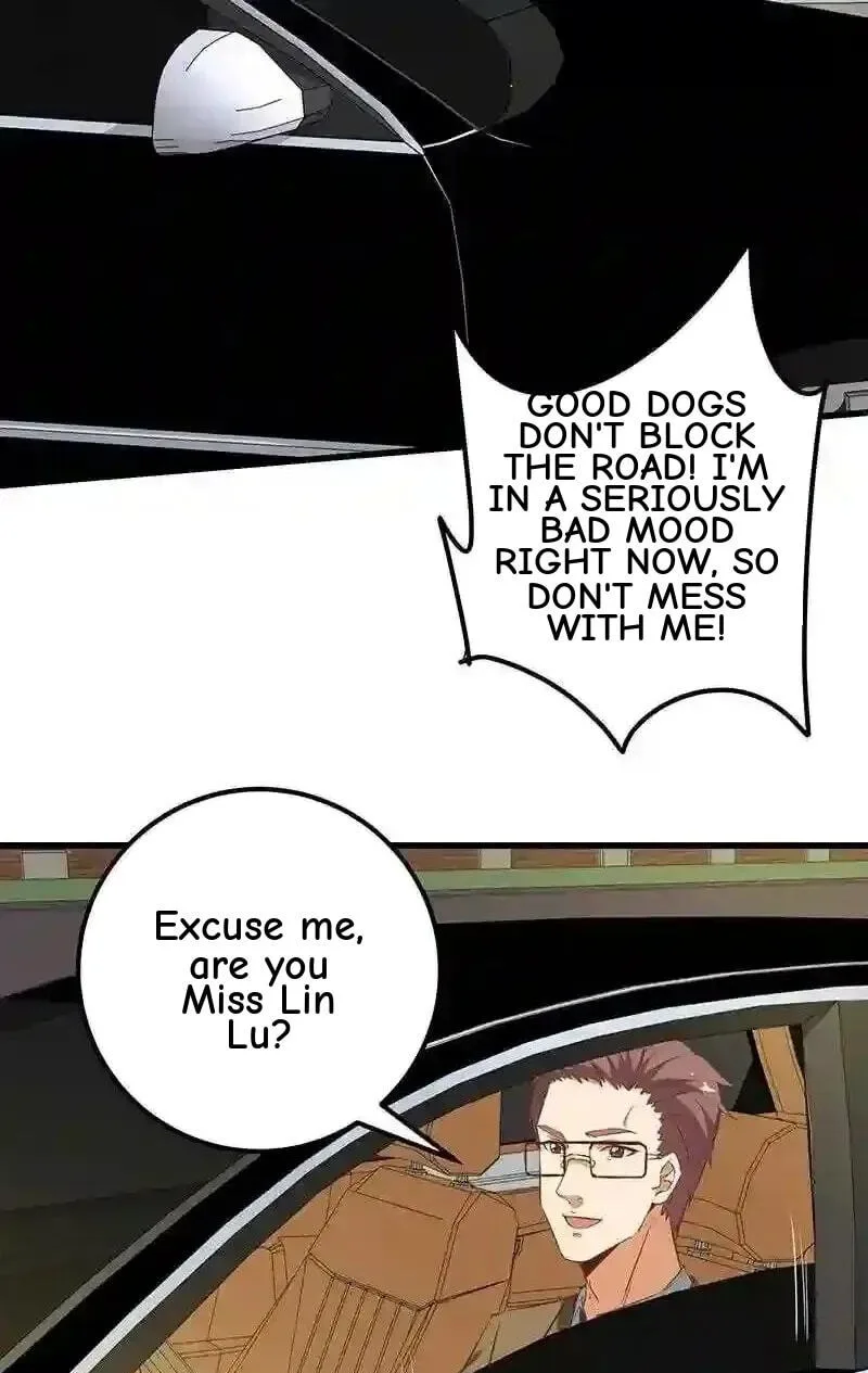 It's All the Pantyhose's Fault Chapter 338 page 5