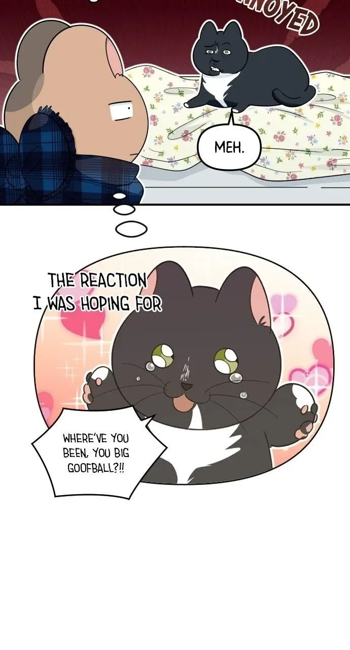 It's Probably Nothing Chapter 18 page 15