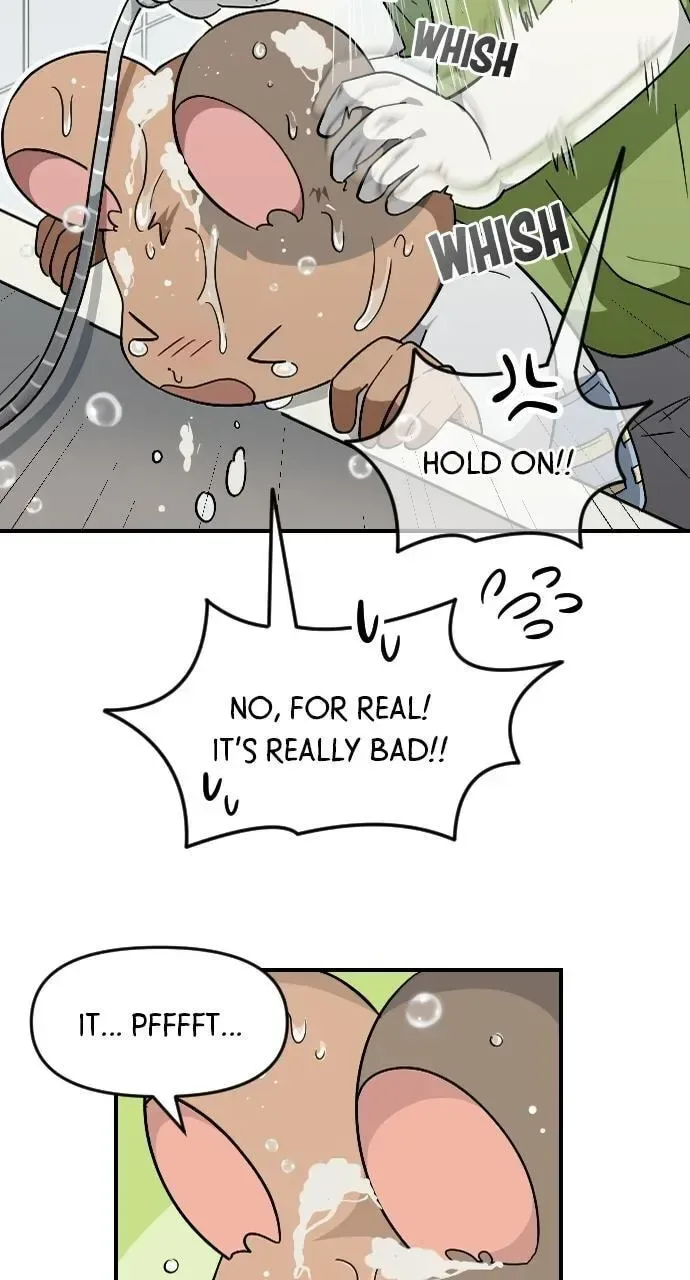 It's Probably Nothing Chapter 2 page 37