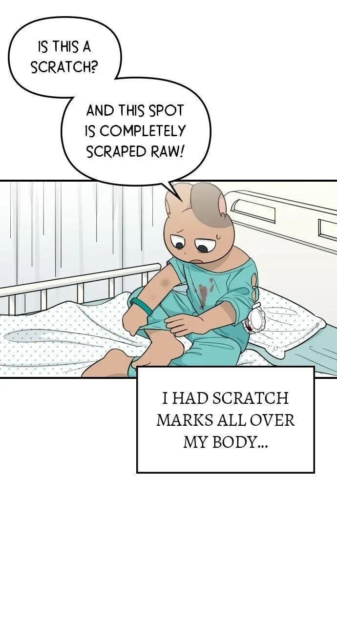 It's Probably Nothing Chapter 29 page 6
