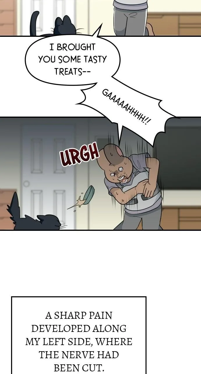 It's Probably Nothing Chapter 36 page 8
