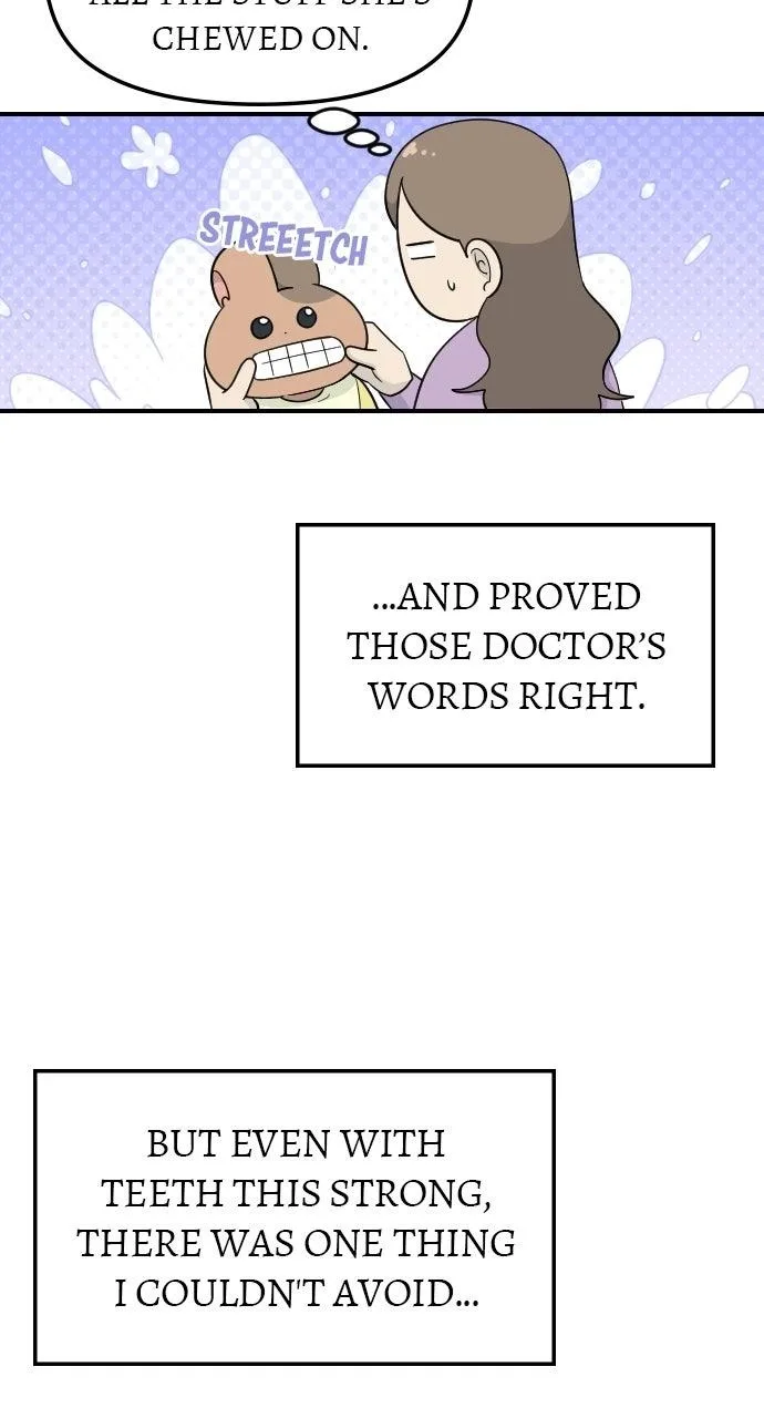 It's Probably Nothing Chapter 41 page 39