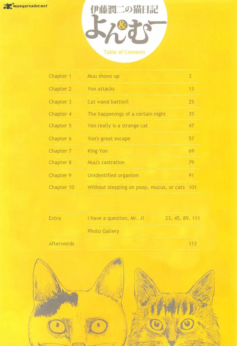 Ito Junji's Cat Diary Chapter 1 page 6