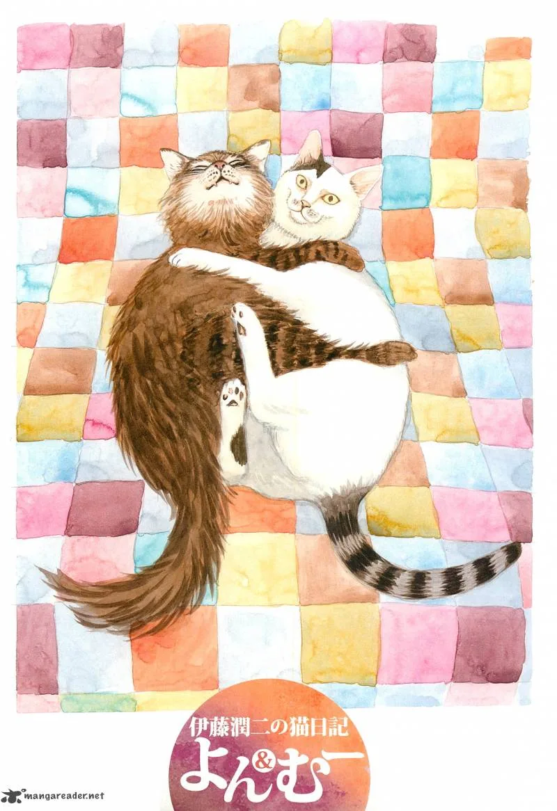 Ito Junji's Cat Diary Chapter 1 page 5