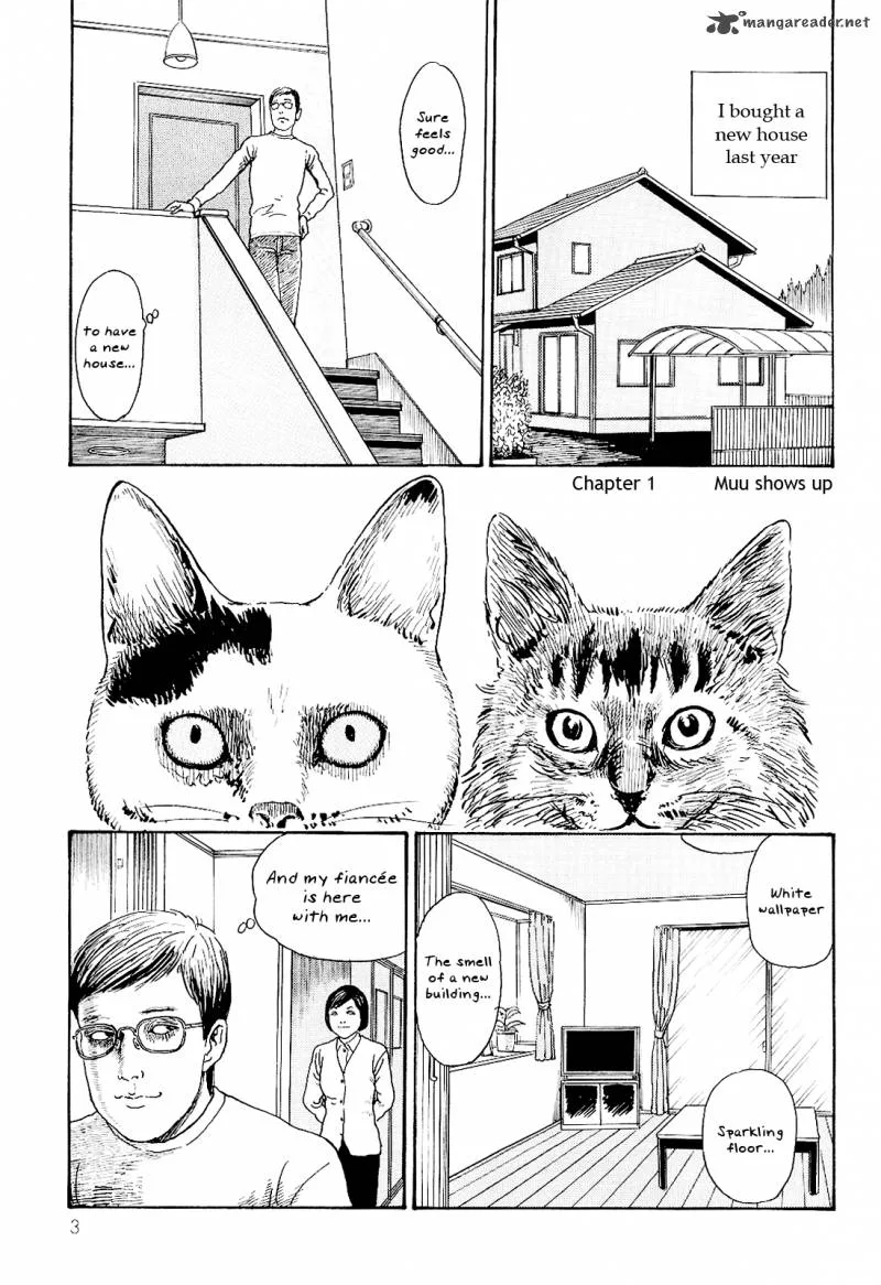Ito Junji's Cat Diary Chapter 1 page 7