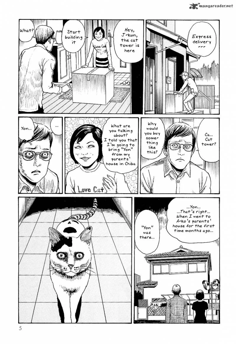 Ito Junji's Cat Diary Chapter 1 page 9