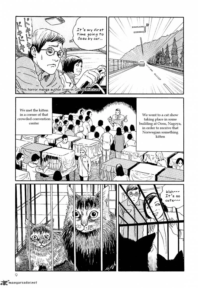 Ito Junji's Cat Diary Chapter 1 page 13