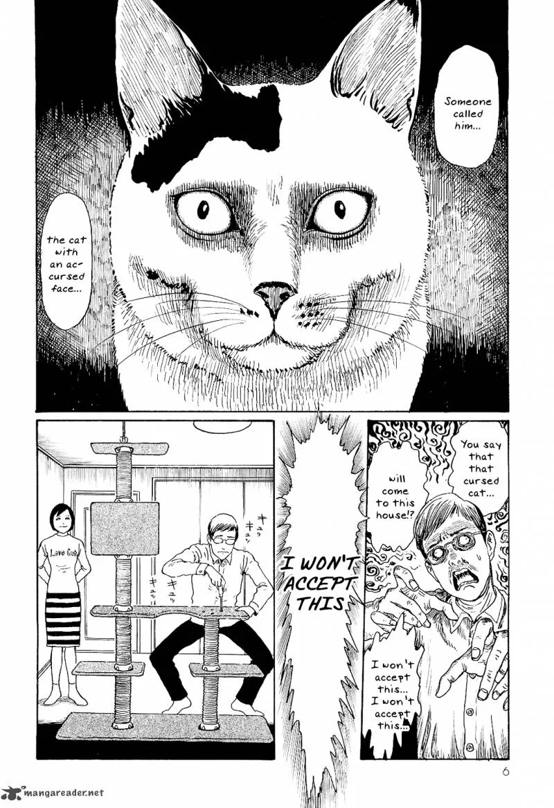 Ito Junji's Cat Diary Chapter 1 page 10