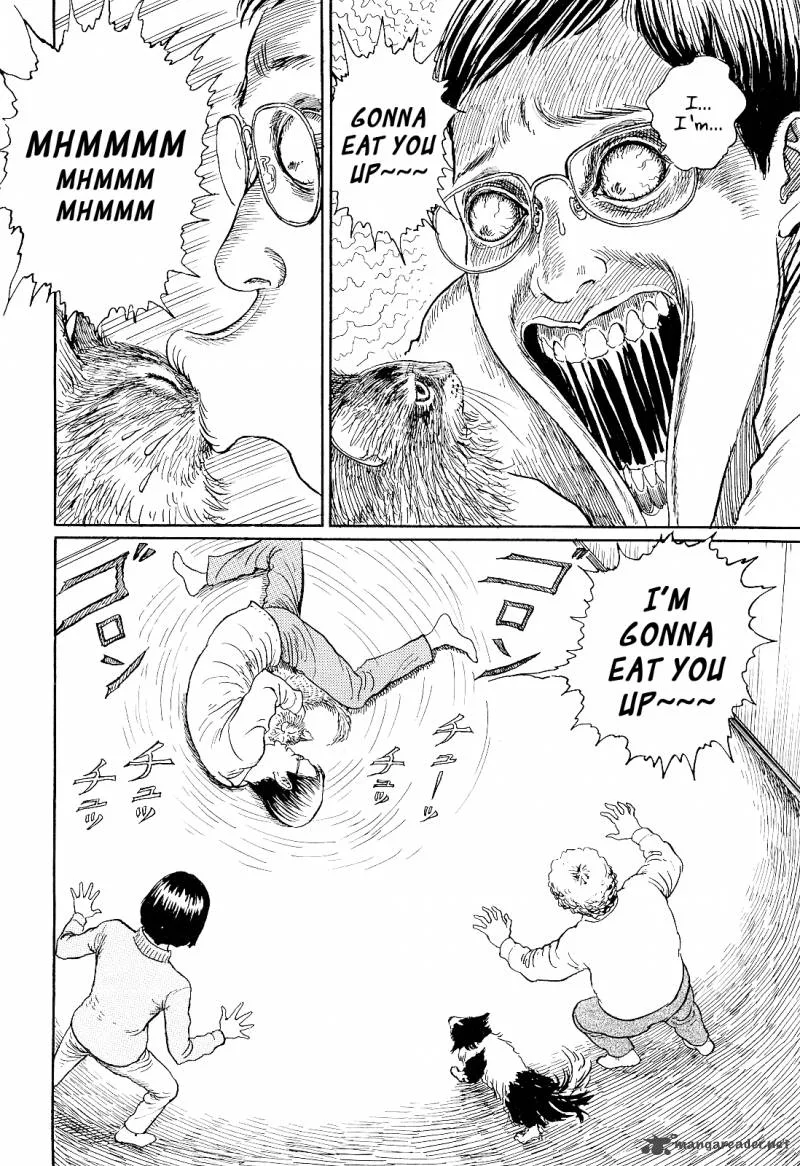 Ito Junji's Cat Diary Chapter 1 page 16