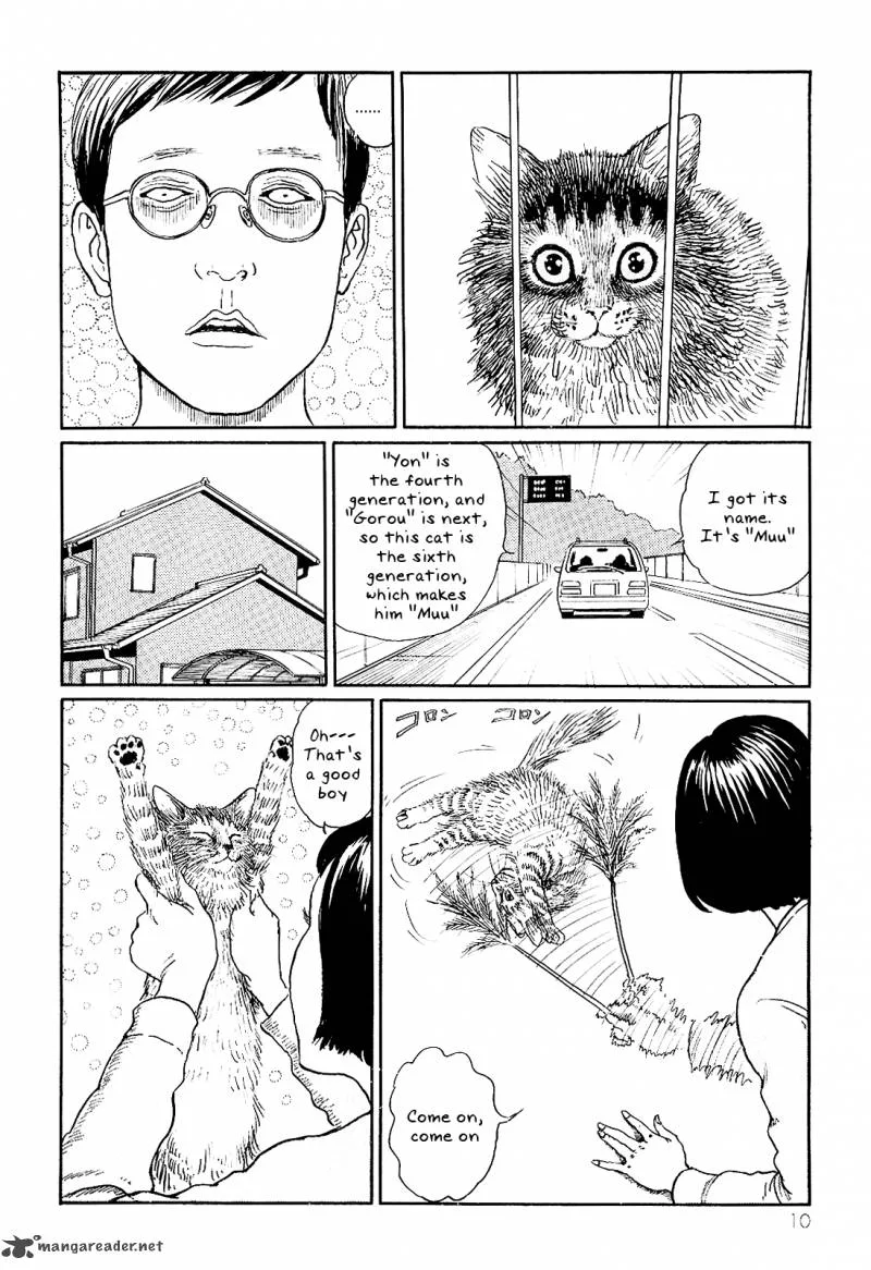 Ito Junji's Cat Diary Chapter 1 page 14